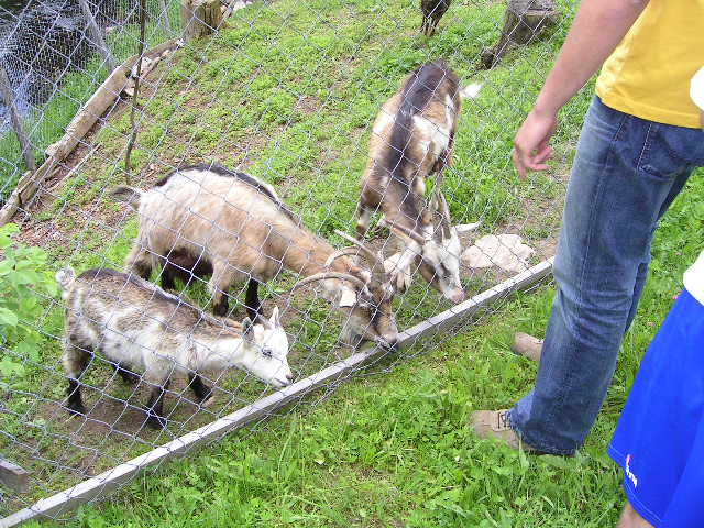 PICT0062.JPG