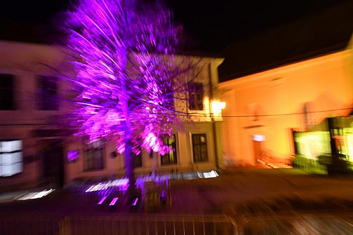 DSC 8740