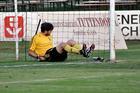2013 Stockerau - SVA[2]