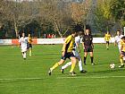 IMG_1054.jpg