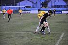 dsc 0333