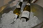 DSC 5481