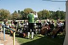 DSC 1886